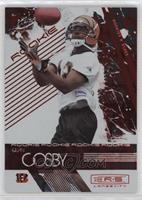 Rookie - Quan Cosby #/150