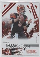 Carson Palmer #/150