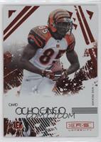 Chad Ochocinco [EX to NM] #/150