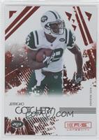 Jerricho Cotchery #/150