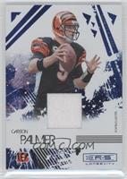 Carson Palmer #/100