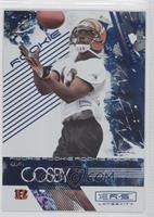 Rookie - Quan Cosby #/75