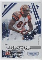 Chad Ochocinco #/75