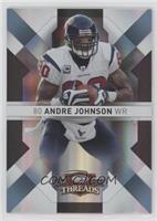 Andre Johnson #/25