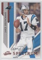 Jake Delhomme