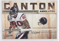 Andre Johnson