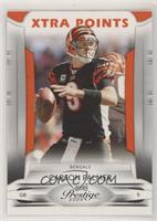 Carson Palmer #/300