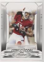 Larry Fitzgerald