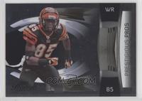 Chad Ocho Cinco #/25