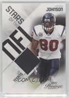 Andre Johnson #/100