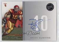 Brian Cushing #/199