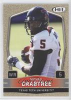 Michael Crabtree (Arms Down)