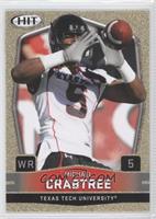 Michael Crabtree (Arms Up)