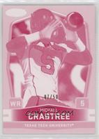 Michael Crabtree (Arms Down) #/50