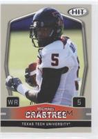 Michael Crabtree (Arms Down)