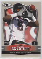 Michael Crabtree (Arms Up)