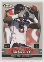 Michael Crabtree (Arms Up)