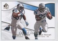 DeAngelo Williams, Jonathan Stewart