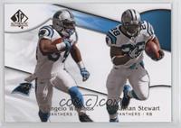 DeAngelo Williams, Jonathan Stewart