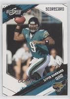 David Garrard #/299