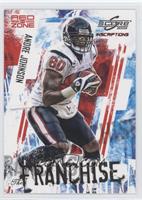 Andre Johnson #/30