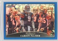 Carson Palmer