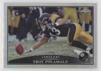 Troy Polamalu