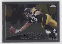 Troy Polamalu