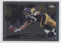 Troy Polamalu