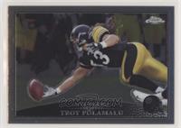 Troy Polamalu