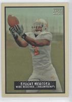 Robert Meachem