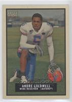 Andre Caldwell