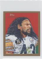 Troy Polamalu