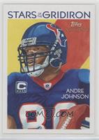 Andre Johnson