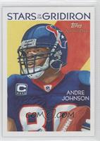 Andre Johnson