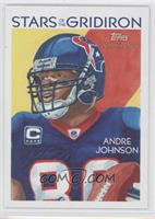 Andre Johnson