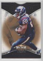 Steve Slaton [Noted] #/249