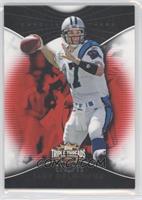 Jake Delhomme #/799