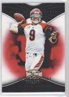 Carson Palmer #/799