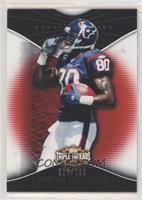 Andre Johnson [EX to NM] #/799