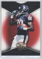 Andre Johnson #/799