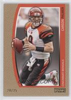 Carson Palmer #/25