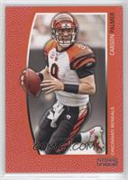 Carson Palmer #/799