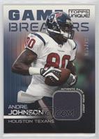 Andre Johnson #/199