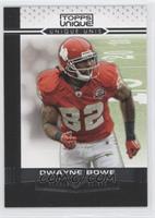 Dwayne Bowe