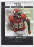 Dwayne Bowe