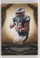 Brian Westbrook #/80