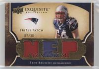 Tedy Bruschi #/30