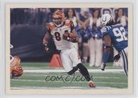 Stars in Action - T.J. Houshmandzadeh