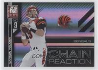 Carson Palmer #/99